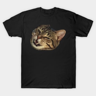 tabby cat meowing funny meme T-Shirt